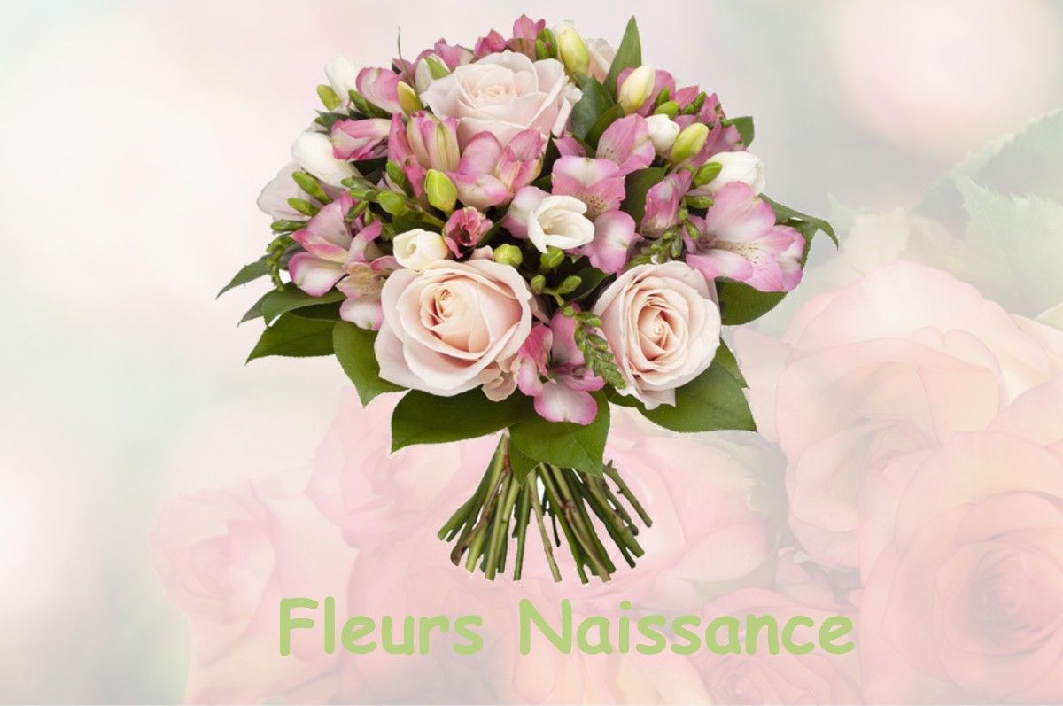 fleurs naissance GAZAVE