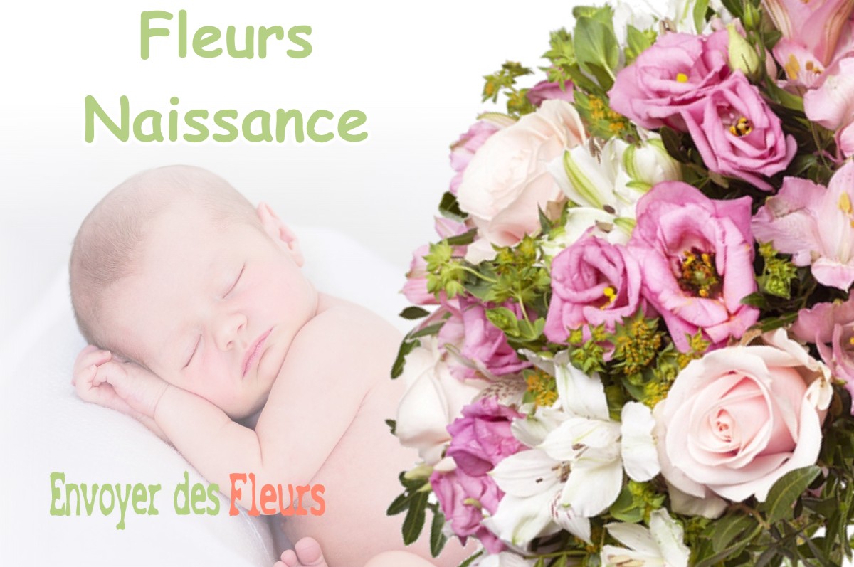 lIVRAISON FLEURS NAISSANCE à GAZAVE